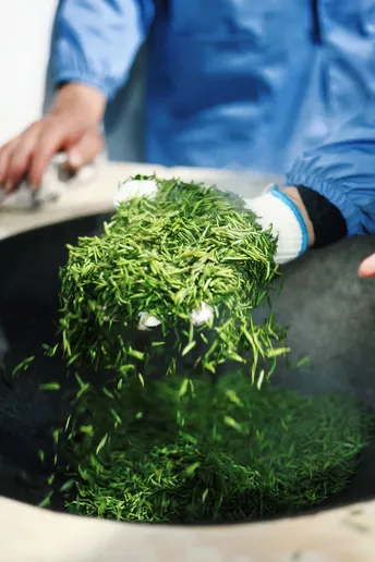 厨师正在使用刮刀将植物放入食物碗或锅中。