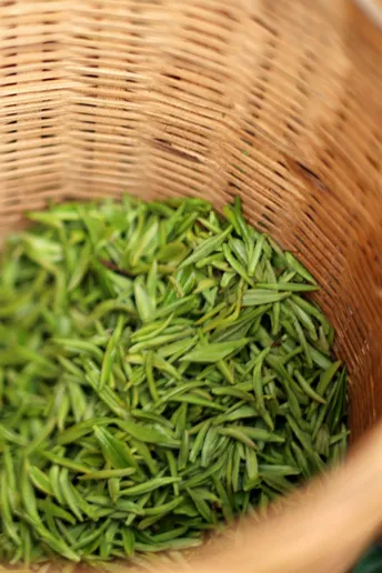 一个编织篮中的绿色植物