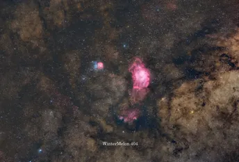 星云中的气体和尘埃中形成的恒星的大范围图像