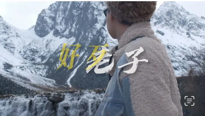 自由的风