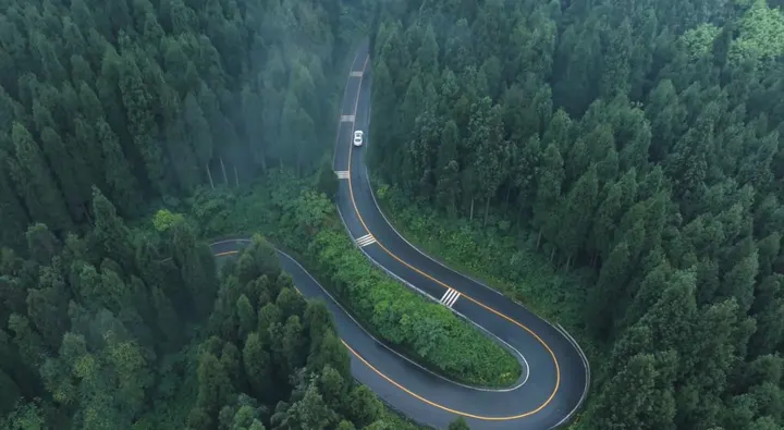 拥《豹》自由