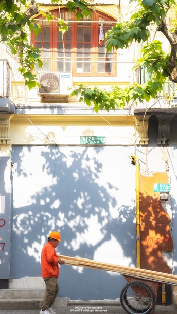 一个人推着一辆木车 车上有木头 沿着一棵大树旁的大街走。