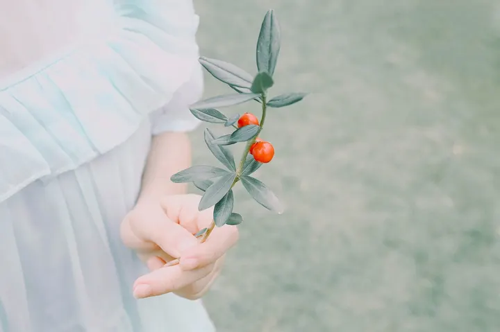 花开时