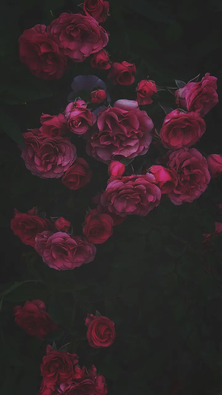 繁花