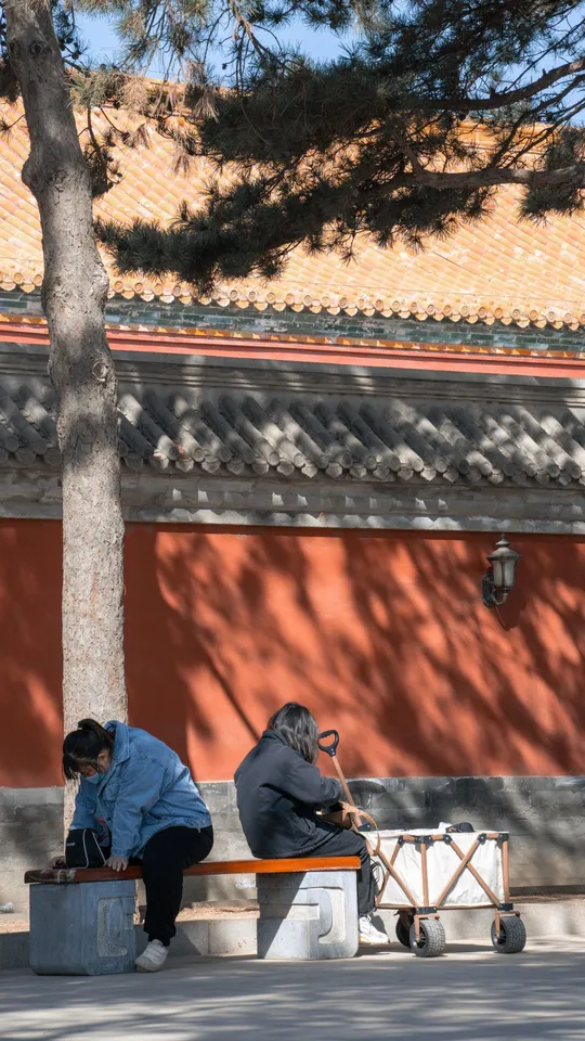 一个男人和一个女人坐在建筑物附近的一棵树下的长凳上。