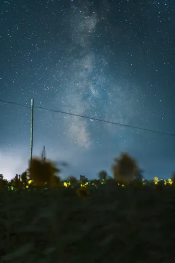 夜晚的田野 星空