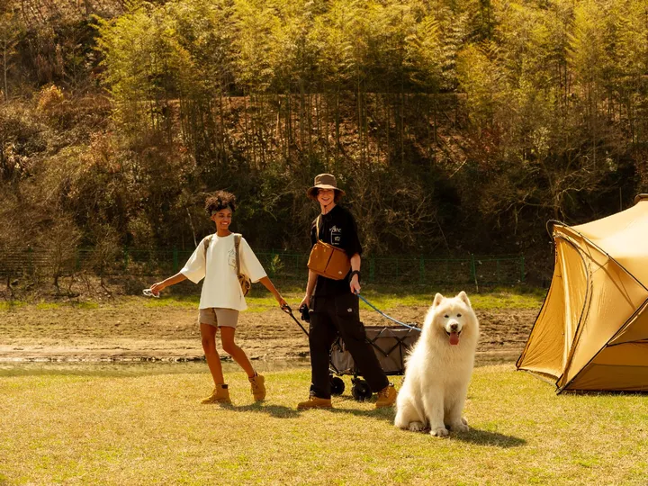 一个男子和一个女子站在一个田野里 旁边有一条系着狗绳的白狗和帐篷。