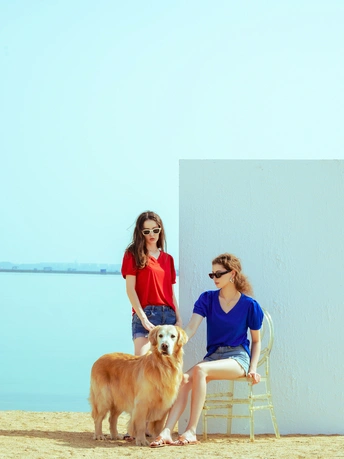 一些年轻人坐在海滩上的椅子上 旁边有一只狗站立着。