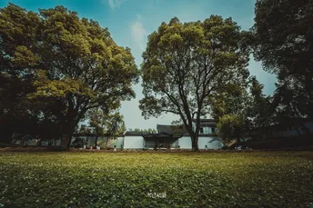 一片绿草如茵 背景中有树木。