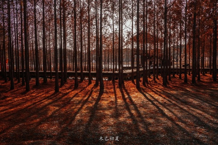 虎丘湿地公园