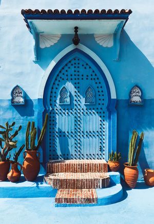 带有蓝色墙壁和盆栽的房子的入口