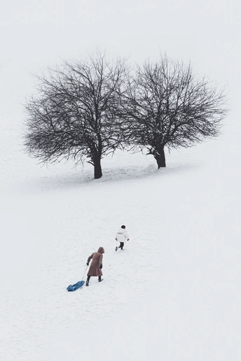 雪地上的树林中 有一个人坐在雪橇上 还有一个孩子在狗牵着走。