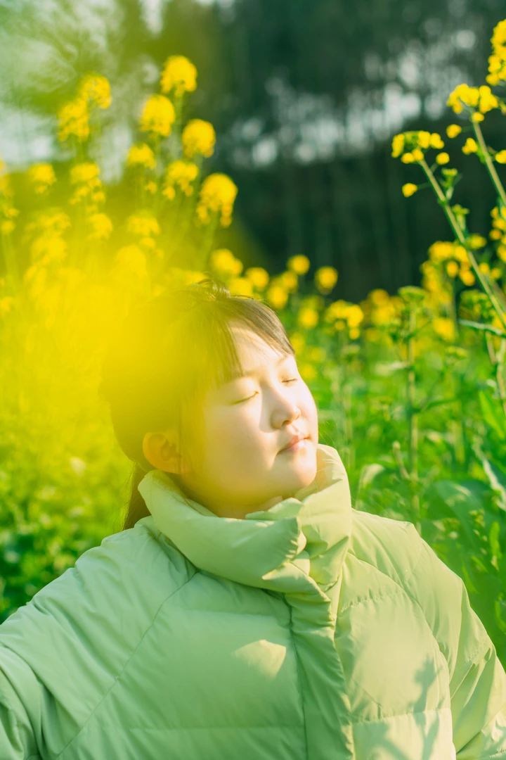 油菜花