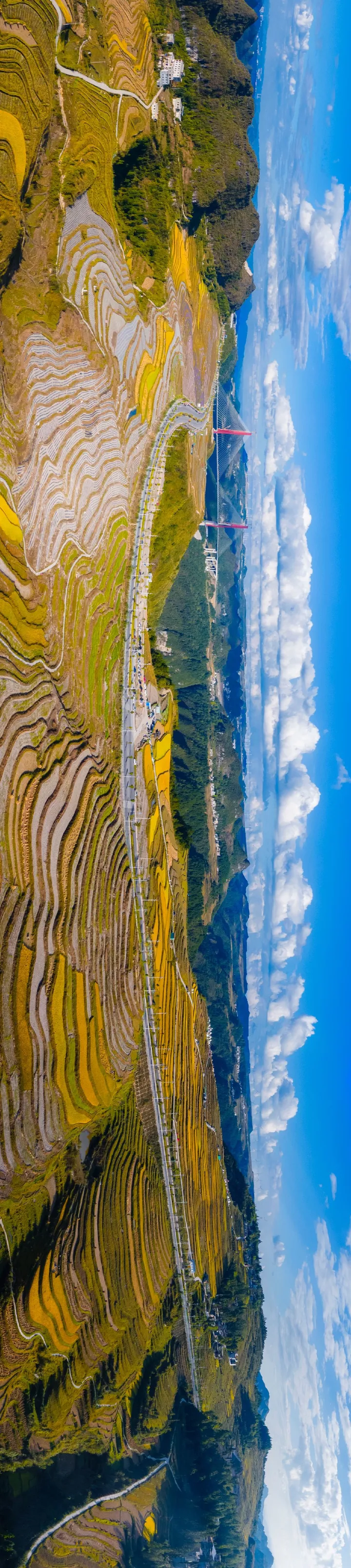 龙里河大桥全貌