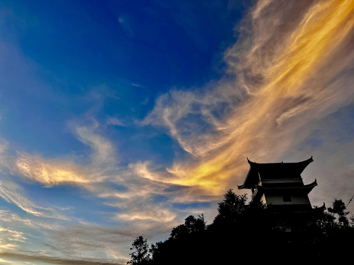 金龙飞天