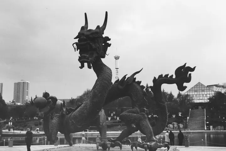 公园大龙