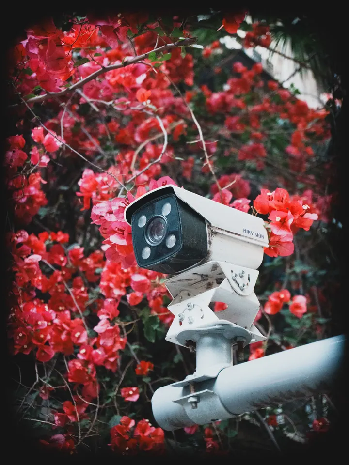 索尼16-50 f8 GM扫街
