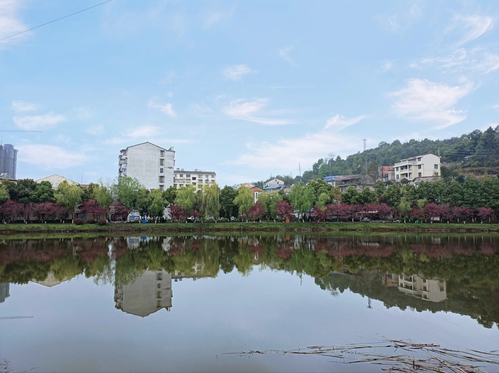 金鸡山公园