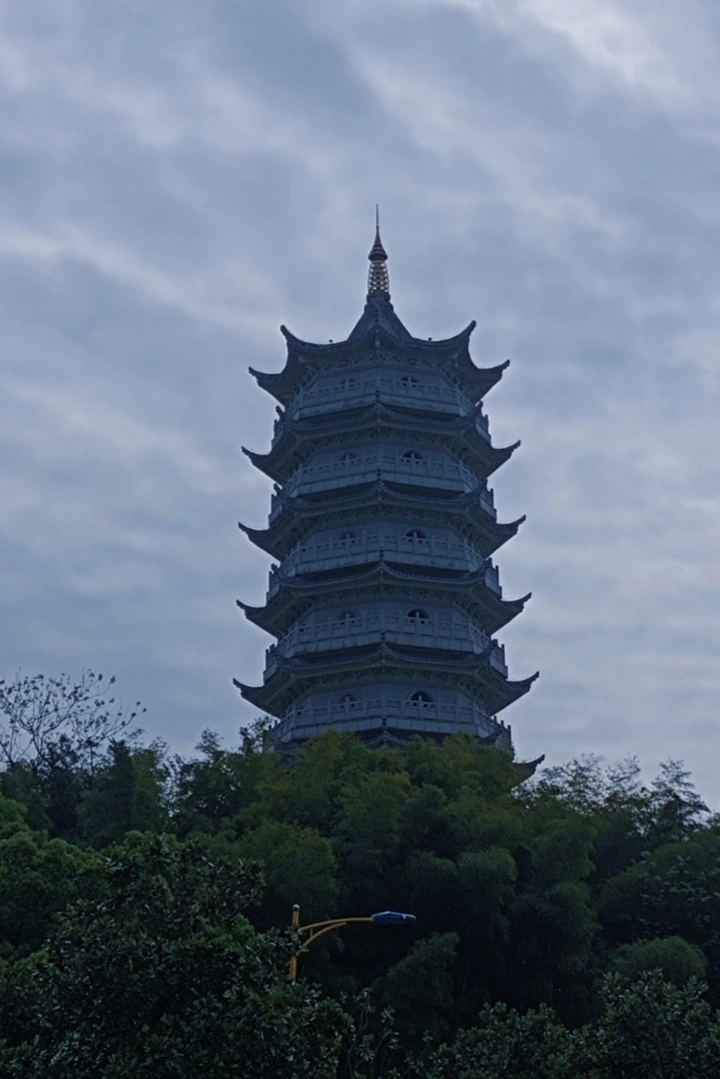 南有嘉鱼，烝然罩罩。