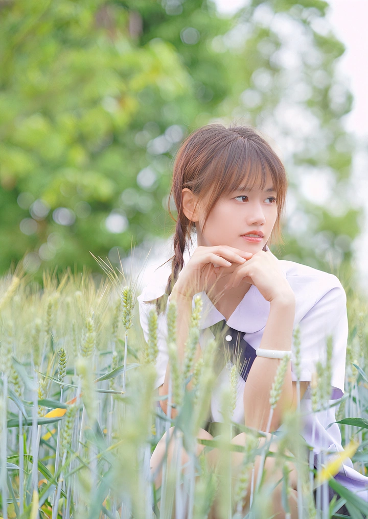 麦田里的泡泡