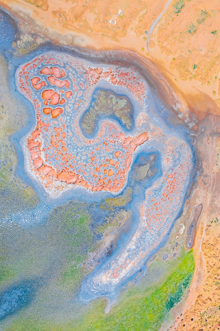 地表的色彩