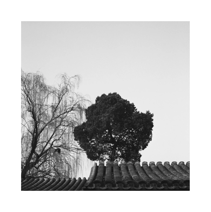 秋日小巷子