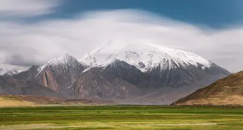 一片白雪皑皑的山脉笼罩在一片绿意盎然的田野上 前景是一匹马。