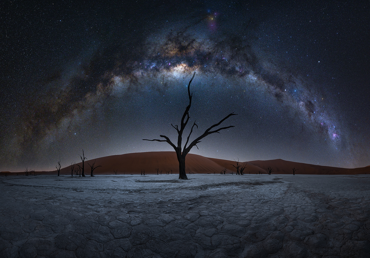 在沙漠中的死树之夜 星空在天空中。