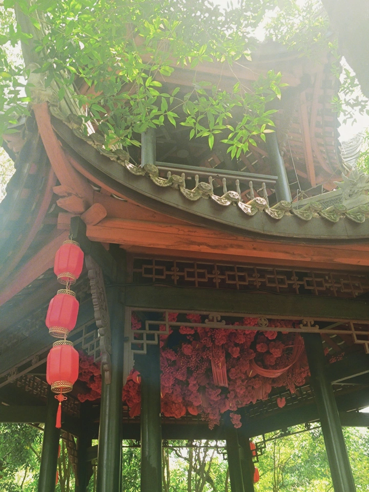 登录我的视角