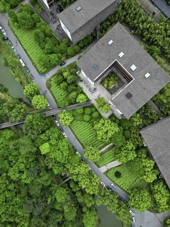 周围被绿树环绕的房屋和建筑物的 aerial view