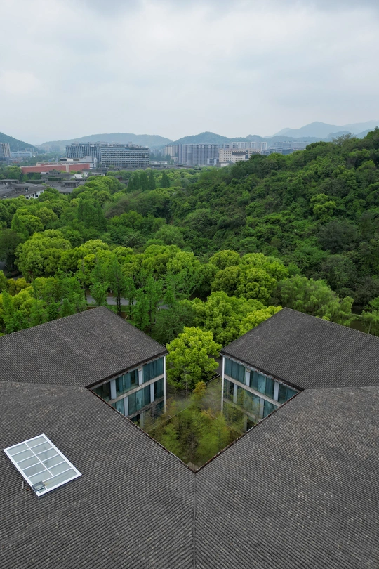 周围环绕着绿树成荫的房屋的屋顶和远处的城市