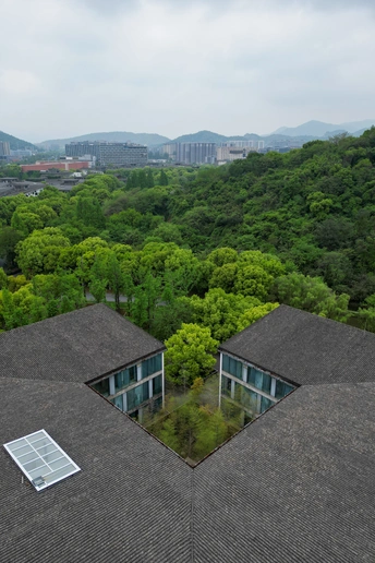 周围环绕着绿树成荫的房屋的屋顶和远处的城市