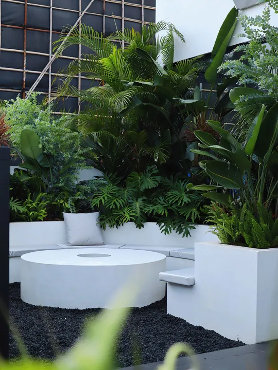 一个现代化的花园 有白色的长凳和植物。