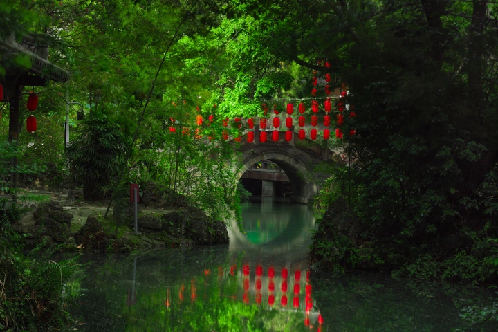 锦鲤