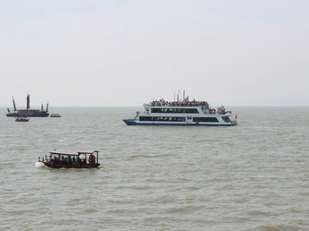 许多船只漂浮在其中的大片水域