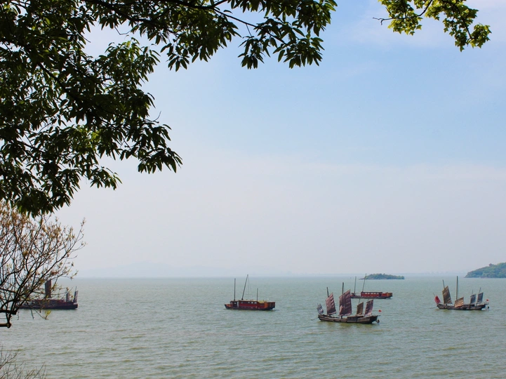 湖边附近水域中的几艘船