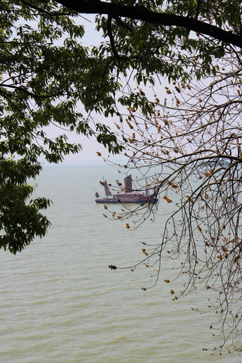 一艘大型船只在靠近树木的大型水体上漂浮