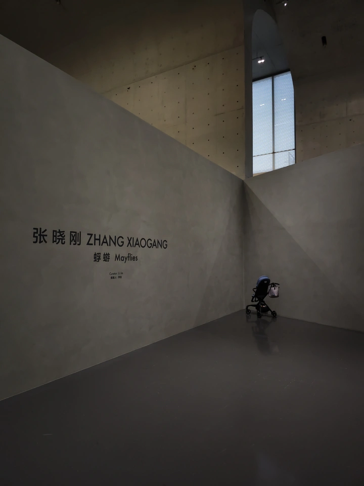 整个展看得我惴惴不安