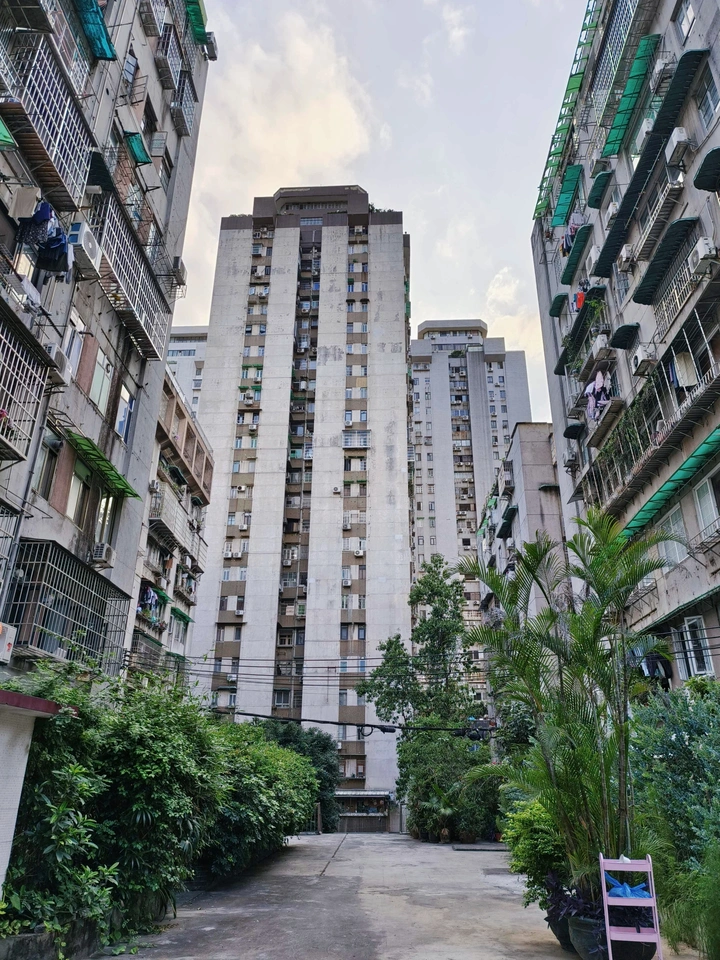 给建筑拍张照