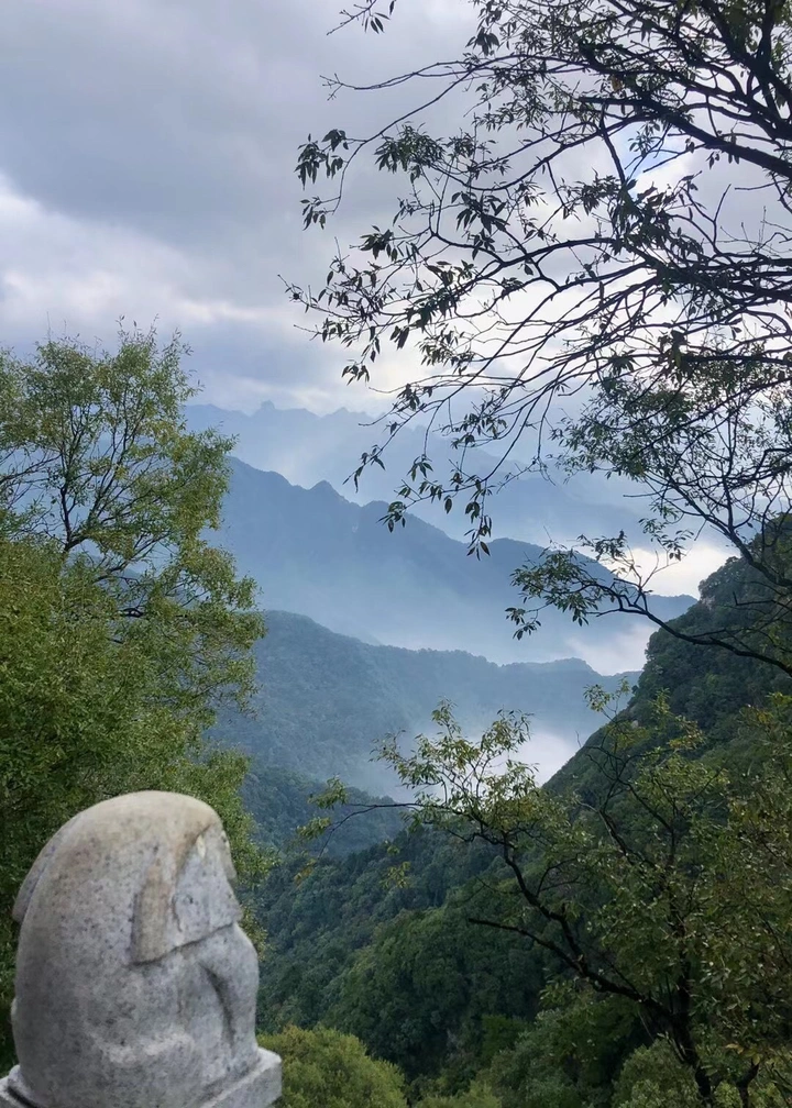 初见云海