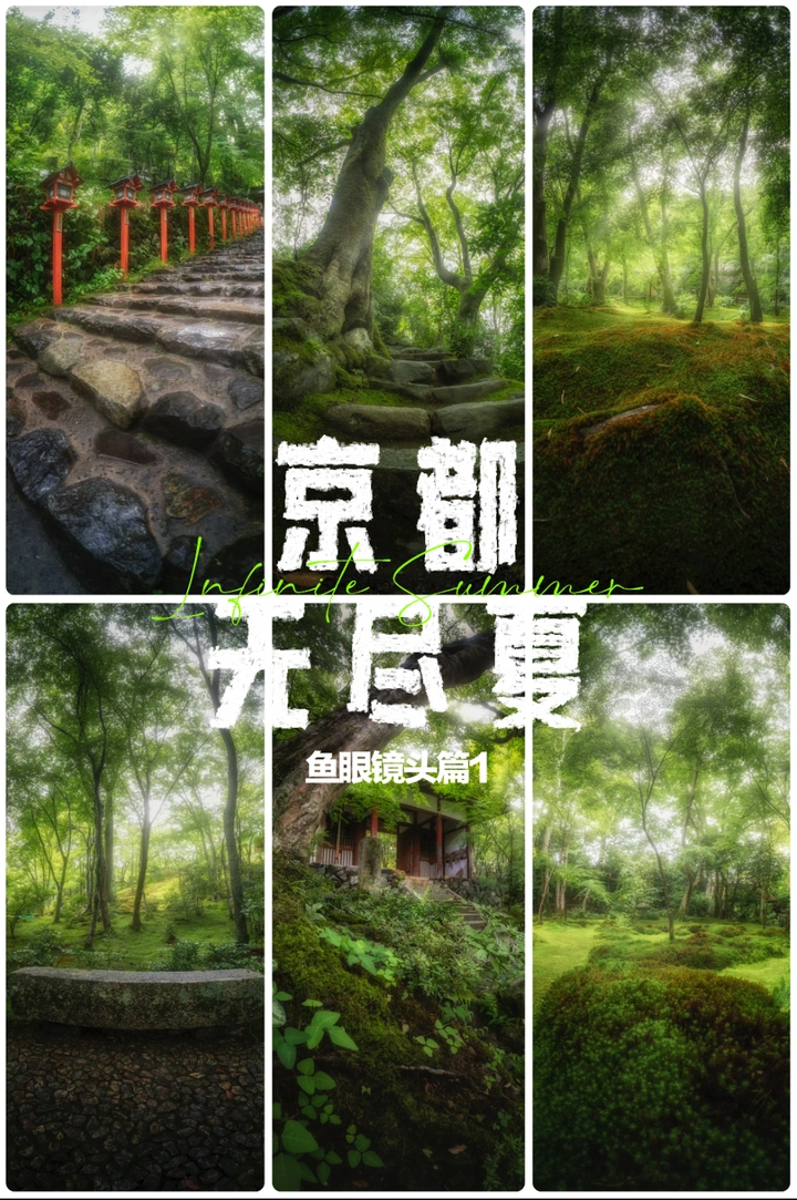 11mm鱼眼镜头下的京都无尽夏日