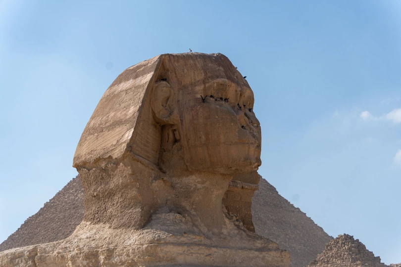 一个大型的斯芬克斯像 背景是金字塔