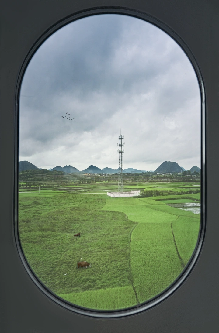 景