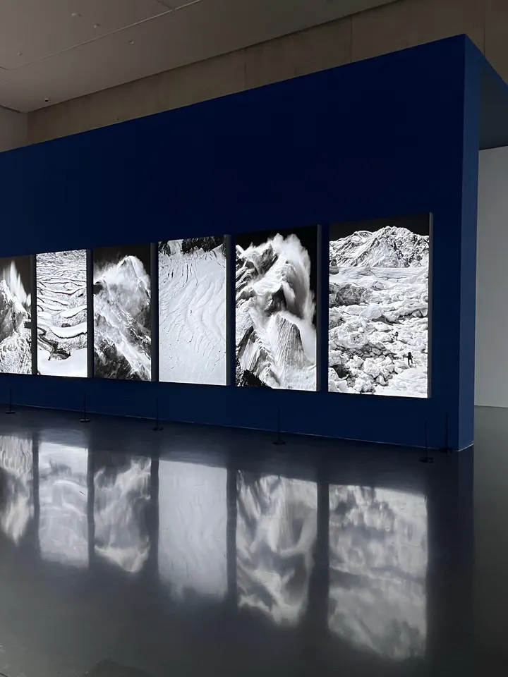 展
