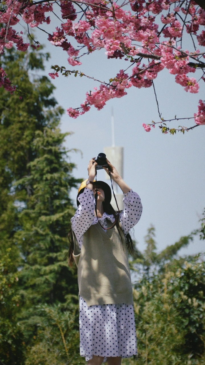 大理大学