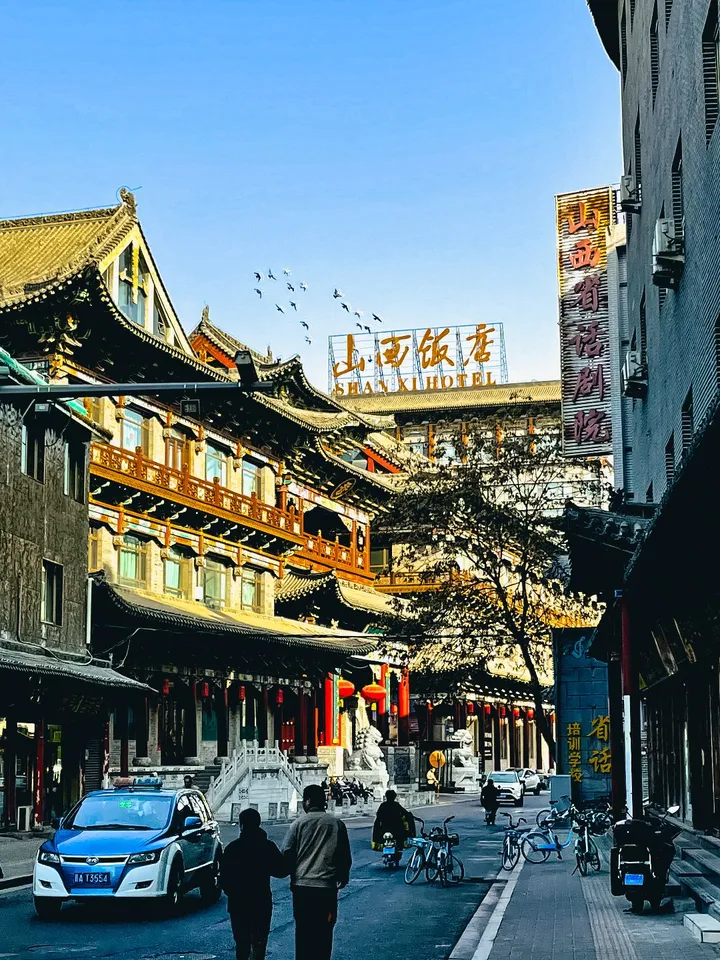 大地飞鸽