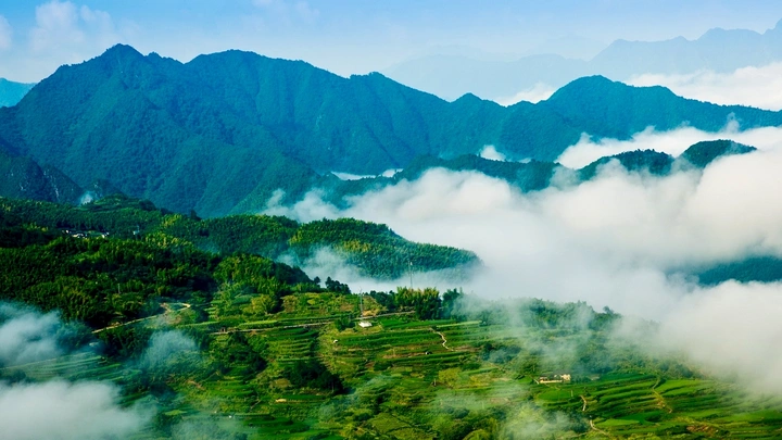 山雾梯田