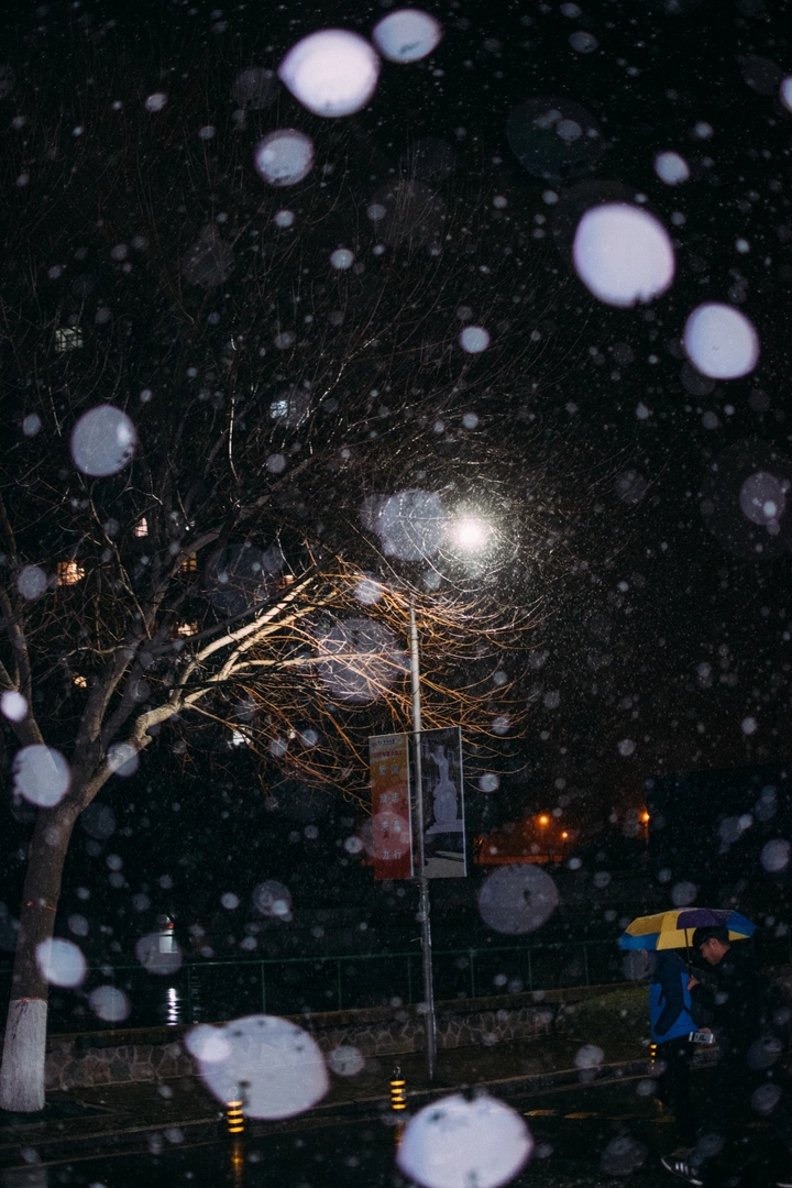 初雪