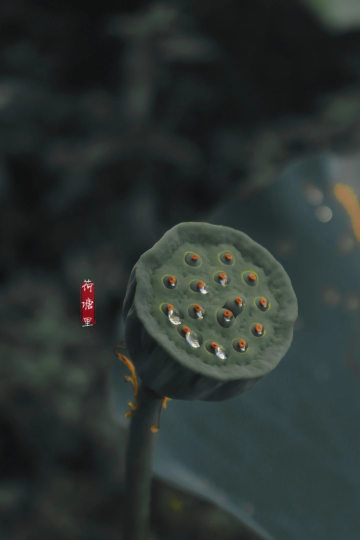 荷