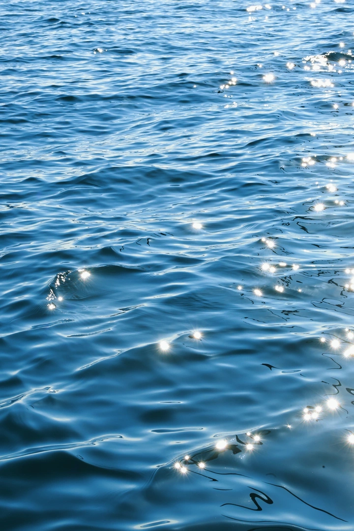 镜头里的海
